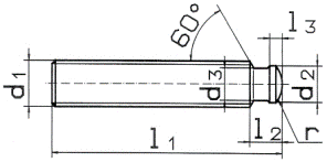 Стопорная шпилька DIN 6332  с упорной цапфой